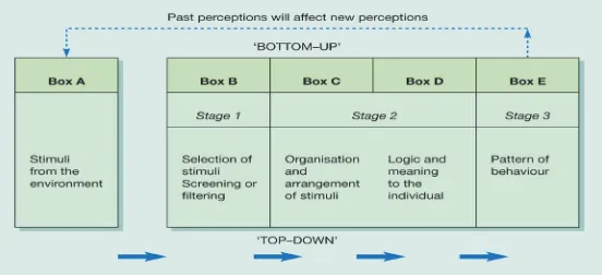 Figure 1 Perception as information processingSource: Mullins, L. (2007). Management and Organizational Behavior