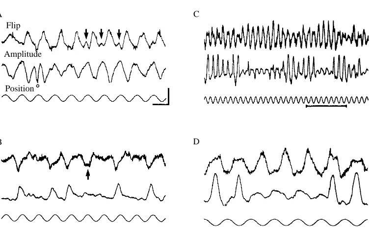 Fig. 5. The modulations of ventral-ﬂip timing and wing-beat amplitude are not rigidlycoupled