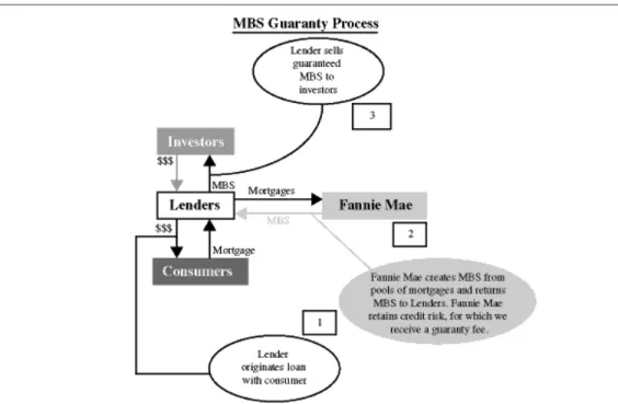Figure 1 MBS Guaranty Process
