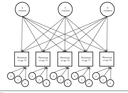 FIGURE 2.Independent pathway model.