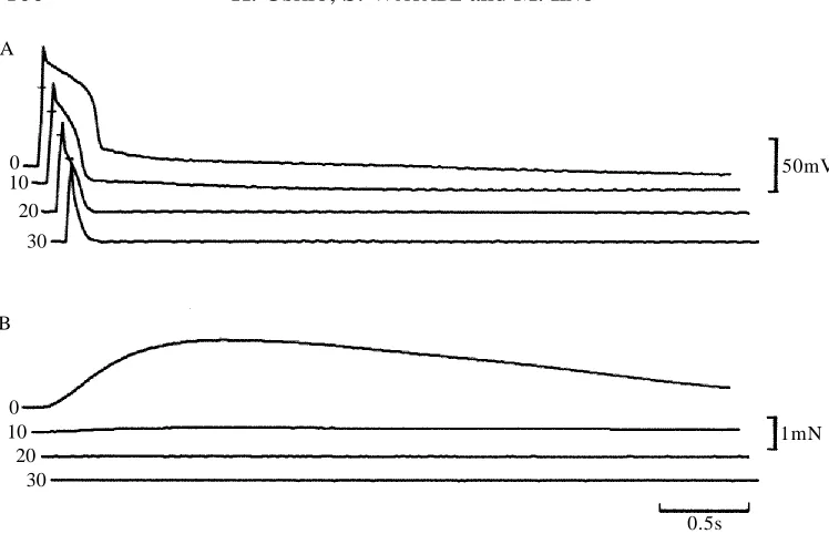 Fig. 3. Effects of the removal of Ca2+represent the 0mV level. Numbers represent the time (min) after the removal of Ca from the crayﬁsh Ringer’s solution on the actionpotential induced by intracellular stimulation (using a 1.2�A current) in the presence o