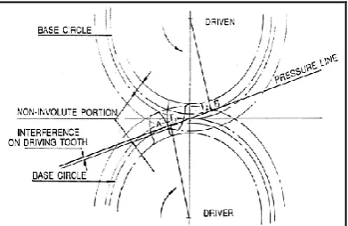 Figure 8:  Gear Meshing Having known various terminologies during meshing of gears, how the contact points traverses is shown in figure 8
