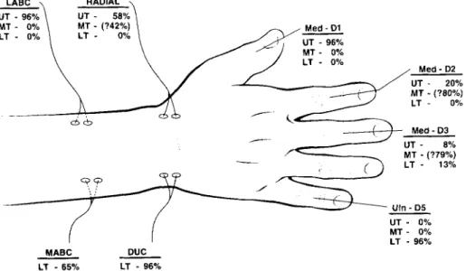 FIGURE 6. Illustration of  the  incidence of  S-NCS involvement for the supraclavicular  brachial plexus elements