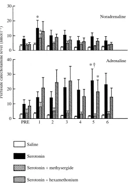 Fig. 5. Perfusate catecholamine levels before (PRE) and 1, 2, 3, 4, 5 and 6 min after injectionof saline (open bars) or serotonin (250nmolkghexamethonium (stippled bars rising left)