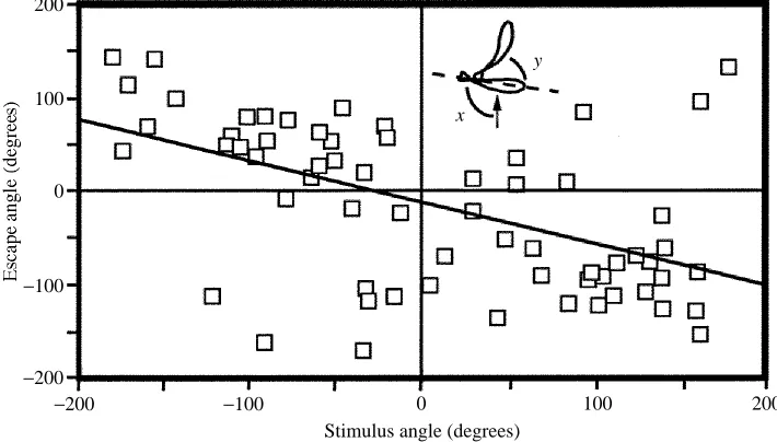 Fig. 9. Linear analysis of angelﬁsh escape angle, following conventions established by Camhiand Tom (1978)