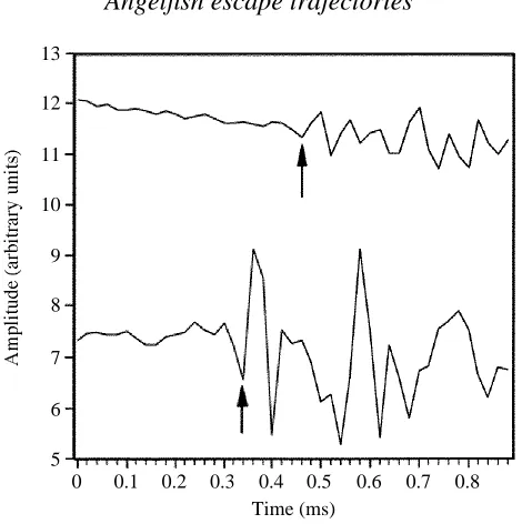 Fig. 1. Time delay in stimulus signal as perceived by two hydrophones positioned along theaxis of stimulus direction