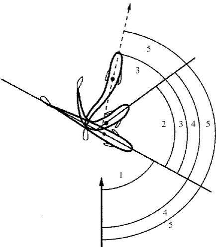 Fig. 2. Diagram illustrating angular variables. Solid arrow indicates stimulus direction,dashed arrow indicates escape direction
