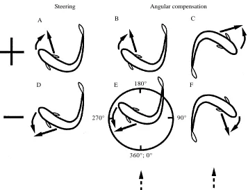 Fig. 3. The sign of steering and angular compensation. Fish position is shown at the end of s1.The top diagrams show positive steering (A) and positive angular compensation (B,C)
