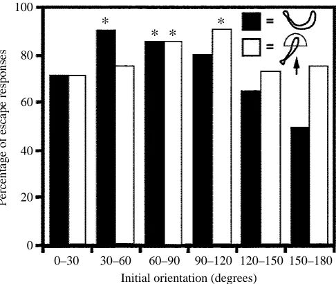 Fig. 4. Angular deviation of s1 and escape trajectories for different 30˚ orientation sectors.† indicates non-random distribution of trajectories