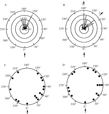 Fig. 6. Circular frequency distributions of s1 trajectories (A, away responses; C, towardsresponses) and escape trajectories (B, away responses; D, towards responses)