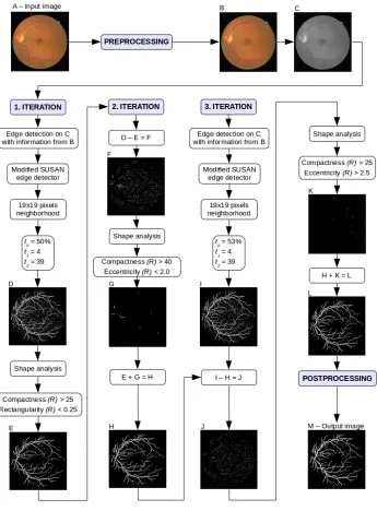 Fig. 2. Proposed method. The input image was taken from the DRIVE dataset