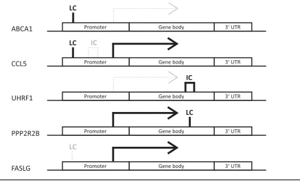 FIGURE 2DMR patterns were unique for each of the identiﬁed differentially expressed genes with DMRs