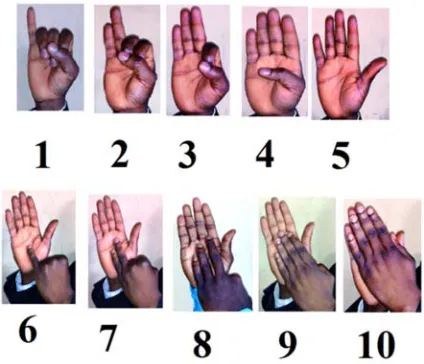 Figure 1. Samples of Dataset Used in the Research. 