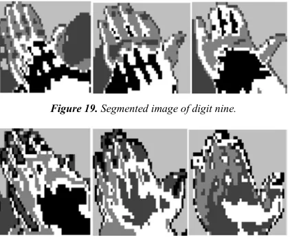 Figure 19. Segmented image of digit nine. 