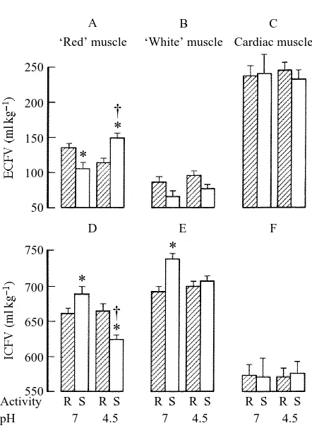 Fig. 4. Histograms showing mean values (+ calcmuscle ICFV, muscle ICFV, muscle ICFV, of pH at a given level of activity