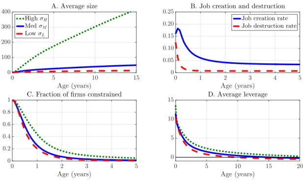 Figure 6: Average life cycle of firms in the model 0 1 2 3 4 5 Age (years)00.050.100.150.20