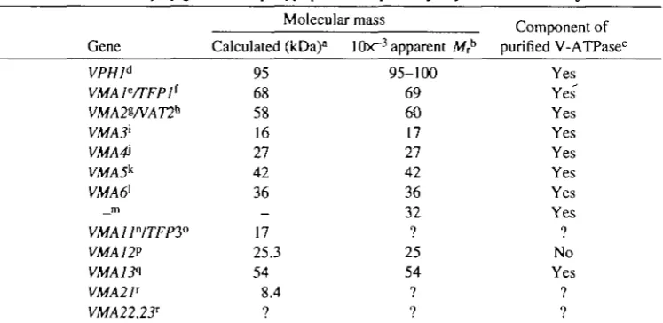 Table 1. Summary of genes andpolypeptid.es required for yeast V-ATPase function