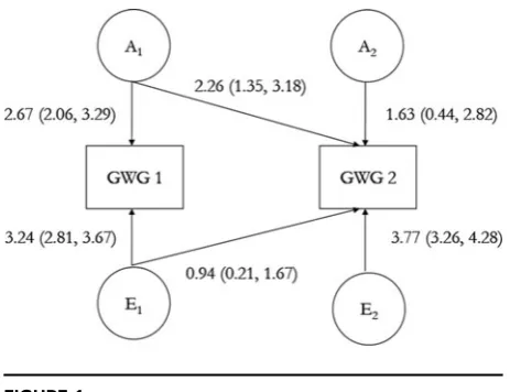 FIGURE 1Cholesky decomposition AE model with path coefﬁcients (with