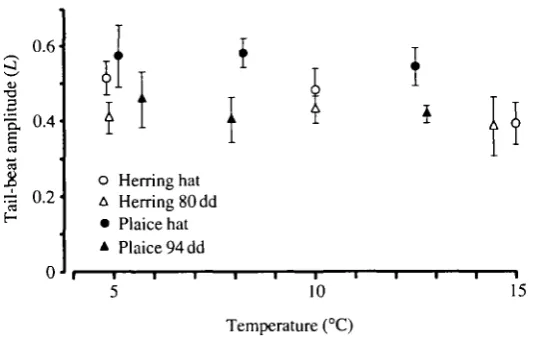 Fig. 4. Plot obtained by MOV1AS software of the yaw of the head (A) of a herringlarva on either side of its axis of motion during an escape burst of swimming from a