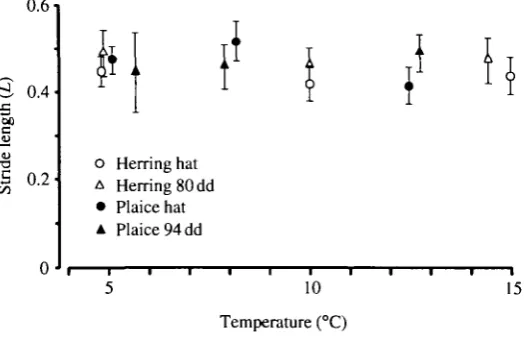 Fig. 6. Tail-beat frequencies of herring and plaice larvae at different temperatures,hat, at hatching; dd, day-degrees since hatching