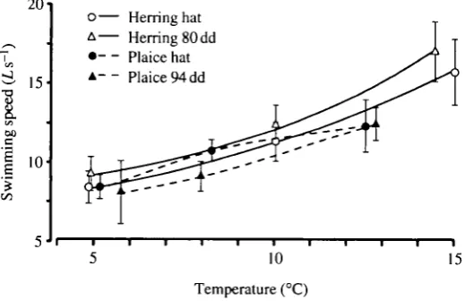 Fig. 8. Swimming speed in body lengths per second (Ls ') for herring and plaicelarvae at different temperatures, hat, at hatching; dd, day-degrees since hatching