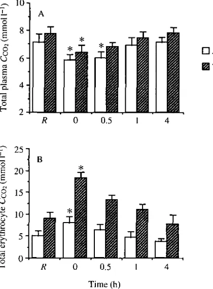 Fig. 4. Total CO2exercise in concentration of (A) true plasma and (B) erythrocytes in arterial(open bars) and venous (hatched bars) blood at rest (R) and 0, 0.5,1 and 4h following Petromyzon marinus