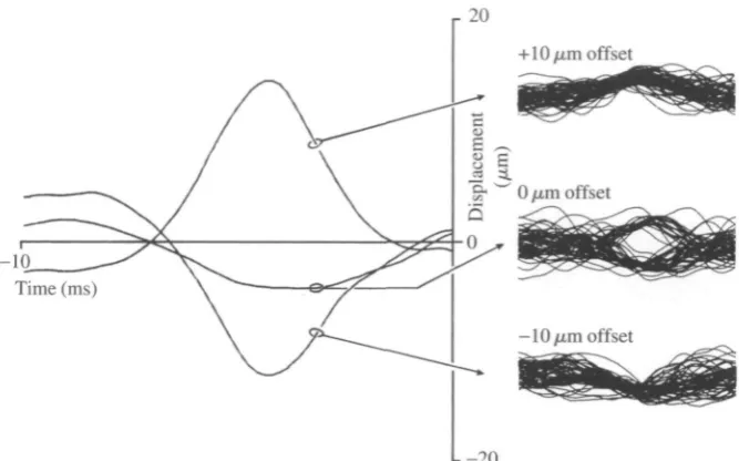 Fig. 3. Noise stimuli that elicit responses of an L3-1of mean wing deflection. The three traces on the left show the pre-spike stimulus neurone applied at different levelsaverage computed from 10ms noise segments preceding 100 spikes during a 2.5 sstimulat