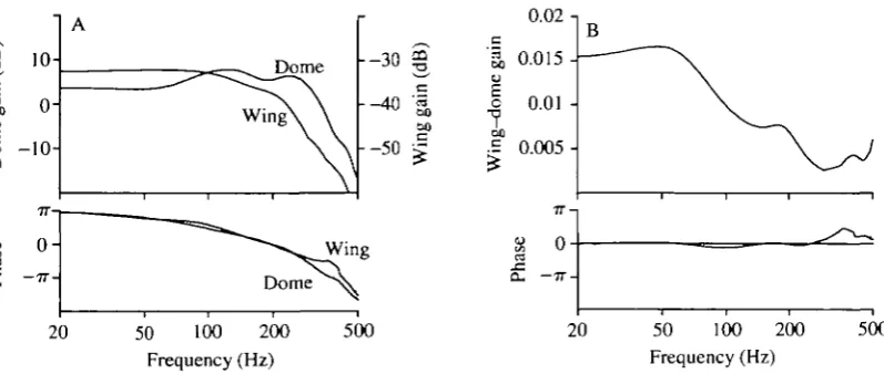 Fig. 4. Comparison of frequency responses of the ACV neurone calculated with directpunctate indentation and chord-wise wing deformation