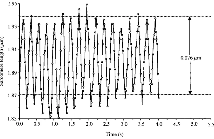 Fig. 3. Sarcomere length during 4s of uninterrupted measurement. Each data pointrepresents a single diffraction pattern analysis