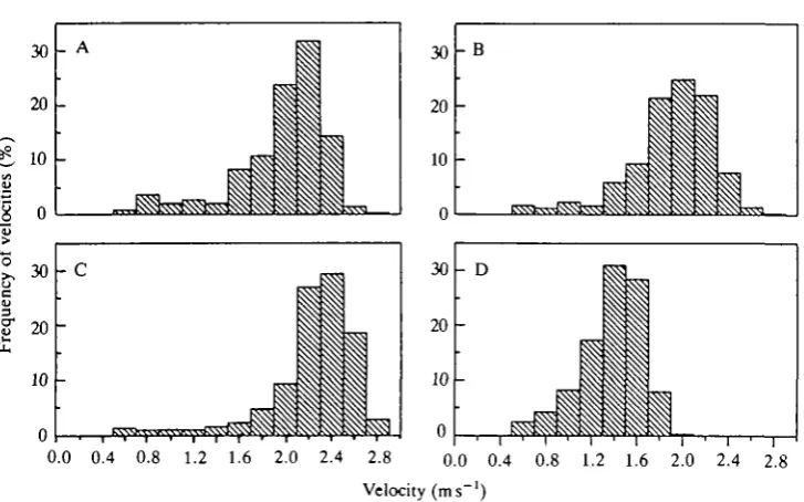 Fig. 4. Histogram of frequency of measured swimming speeds in four Weddell seals.Sample (N) sizes for each plot: A, 2298; B, 1113; C, 1723; D, 3223