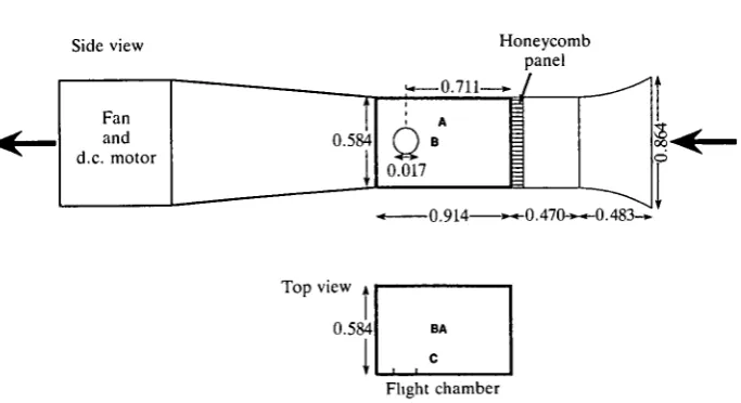 Fig. 1. Diagram of the wind tunnel in side view, showing the dimensions (in meters) ofthe contraction section, flight chamber and exhaust section of the tunnel