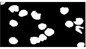 Figure 4 Clustering on Image 