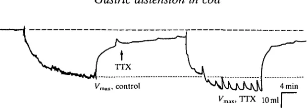 Fig. 3. In vitroTTX may be myogenic. Distension pressure 0.5 kPa. The broken line indicates thesome increase in relaxation rate