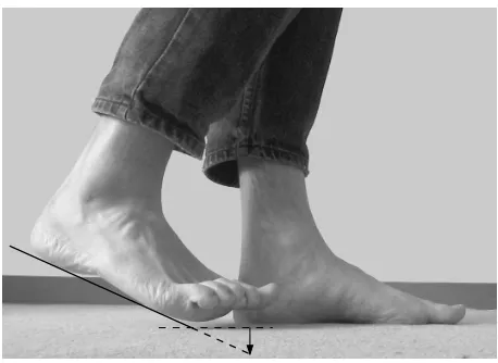 Figure 2.7: In order to get a positive ground clearance, humans lift their toes. The arrow showswhere the toes would end up if they were not pointed upwards.