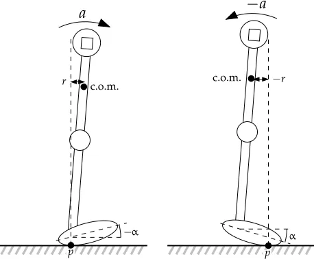 Figure 2.9: Velocity (or actually: acceleration) control by ankle rotationcontact point α: the position of the p inﬂuences the acceleration a due to gravity working on the center of mass (c.o.m.).Left: the contact point behind gives a forward acceleration