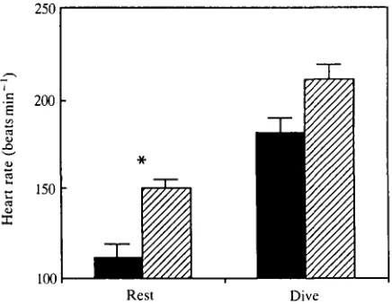 Fig. 2. Histogram showing mean values of deep body temperature in six tufted ducksacclimated to summer (•) or winter (M) temperatures while at rest and at the end of adiving bout