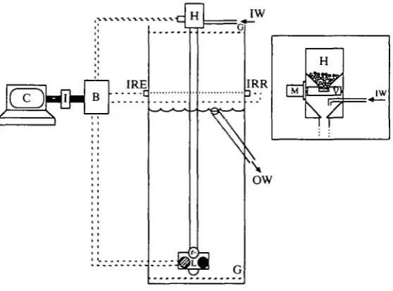 Fig. 1. A diagrammatic representation of the tank and accessories used to train tuftedducks to dive for different durations