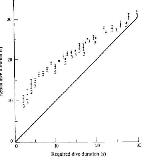 Fig. 3. Response of five tufted ducks (3 cf, 2 9) to training on the system illustrated inFigs 1 and 2, showing mean values (±S.E.) of actual durations of dives performed atdifferent required durations