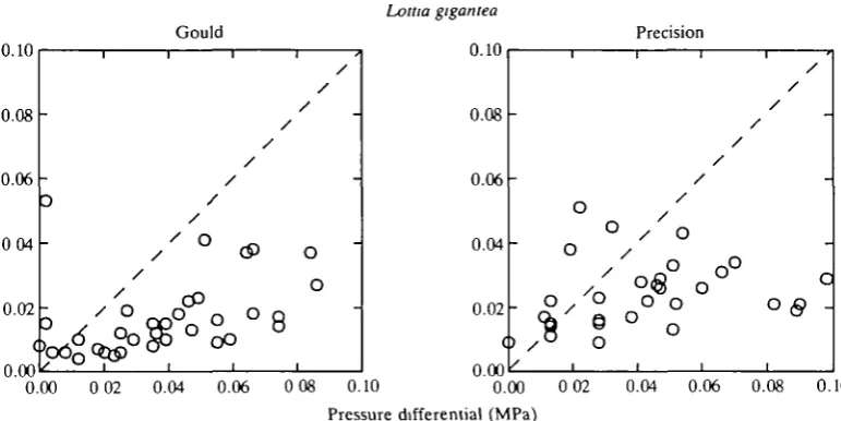 Fig. 5. Pressure differential versuspoints above the line, the absolute value of the pressure differential is not high enough tenacity for Lottia gigantea