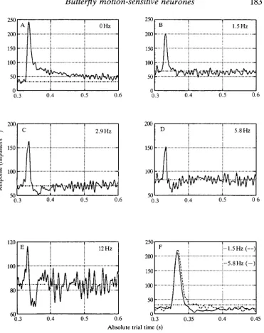 Fig. 5. The change inshownindicatecontrast frequencies were 0, 1.5, 2.9, 5.8,12, —1.5 and the shape of the impulse responses as a function of increasingadapting velocity