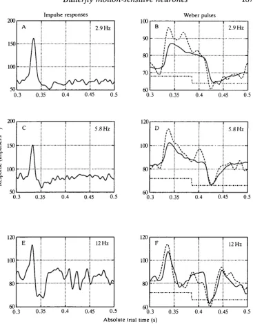 Fig. 8. Evidence for piece-wise linearity. An attempt to predict the response toextended pulses of velocity by convolution with the velocity kernels