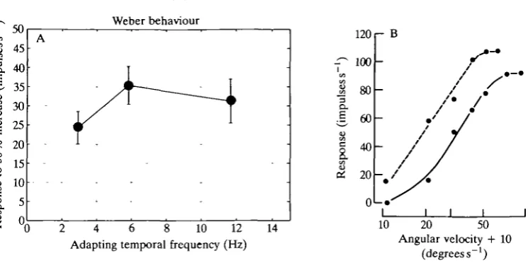 Fig. 9. If the cells were to obey Weber's law, the response to percentage deviationsfrom the different adapting velocities would be the same, i.e
