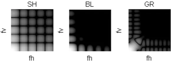 Fig. 7. Impulse responses of interpolation filters for SH, BL and GR interpolation; scaling factor F = 20 and response size 40 x 40 pixels