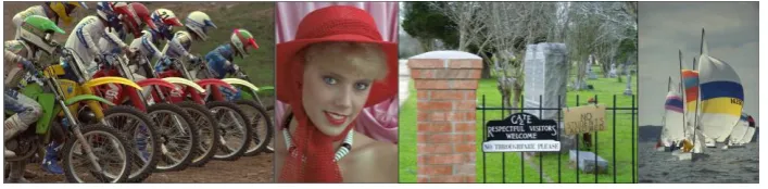 Fig. 9. Examples of typical images from the test database LIVE. 