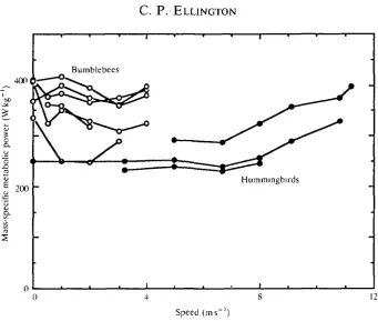 Fig. 4. Mass-specific metabolic power plotted against speed for hummingbirds andbumblebees, extending down to hovering flight.