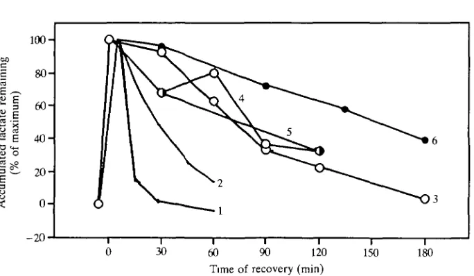 Fig. 4. Change in blood lactate concentration as a function of time following briefexercise