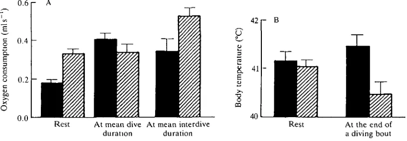 Fig. 4. (A) Histogram showing mean oxygen uptake (+S.E.,columns) or winter (hatched columns) conditions (see above)