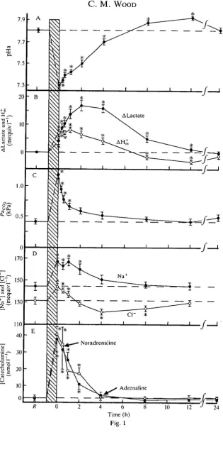 Fig. (h) 1 