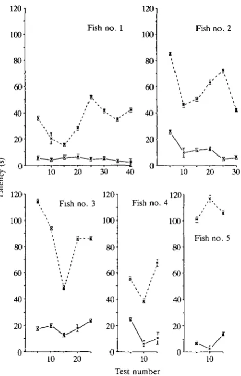 Fig. 5. Response latencies to 'real' (solid lines) and 'fictitious' (broken lines) stimu-lation, that is pseudo-stimulation or no stimulation, for each fish