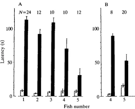 Fig. 6. (A,B) Response latencies in test experiments to stimuli of identical amplitudespectra, but differing in the phase relationship of their constituent harmonic com-shorter response latencies to the S+ signal, compared with those to theponents